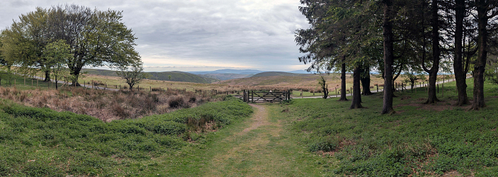 Looking across Pole Bank