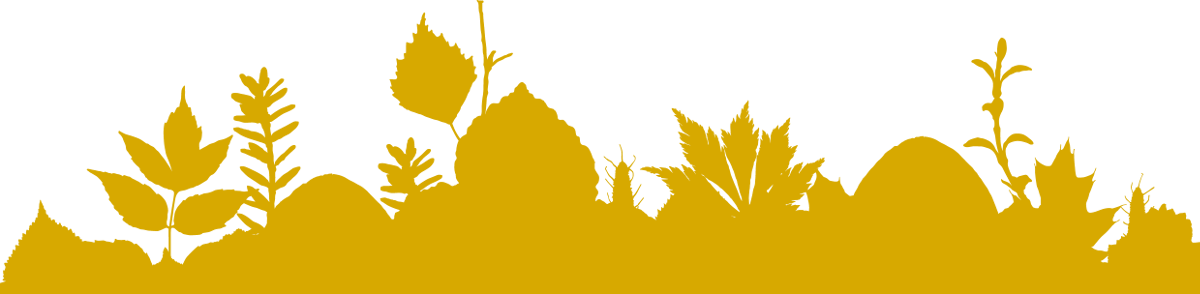 Undergrowth 0110
